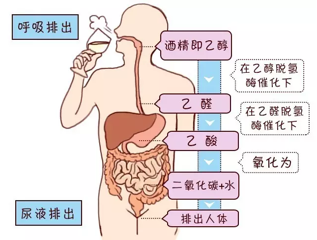 瀘州原酒